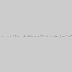Image of Recombinant Candida Albicans SOD2 Protein (aa 35-234)